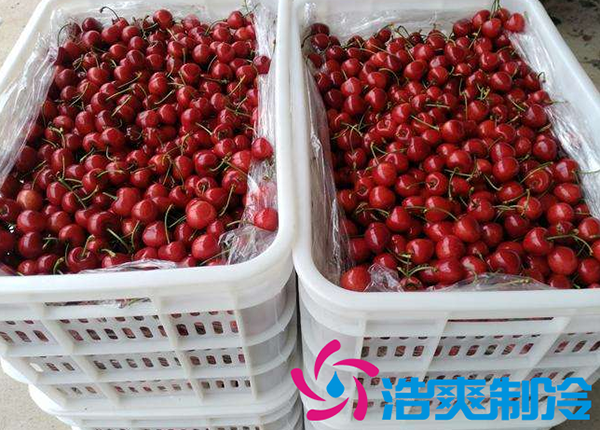 櫻桃氣調(diào)建造完成后有哪些儲(chǔ)存方法和步驟？_浩爽制冷