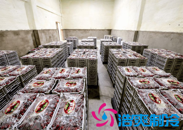 櫻桃氣調(diào)建造完成后有哪些儲(chǔ)存方法和步驟？_浩爽制冷