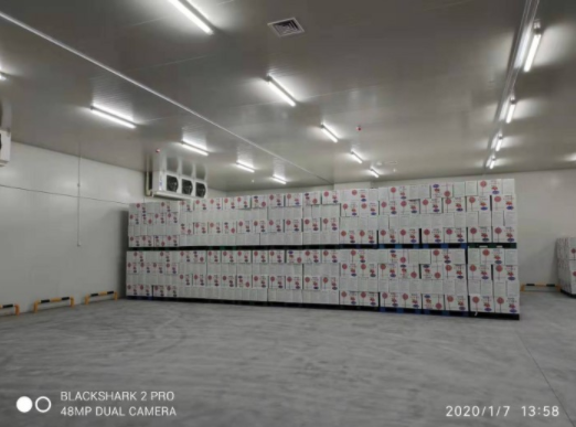 水果蔬菜冷庫(kù)建造對(duì)庫(kù)溫設(shè)計(jì)有何要求？_浩爽制冷