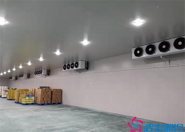 藍(lán)莓種植園建造0℃水果保鮮庫(kù)如何做好入庫(kù)儲(chǔ)藏？_浩爽制冷