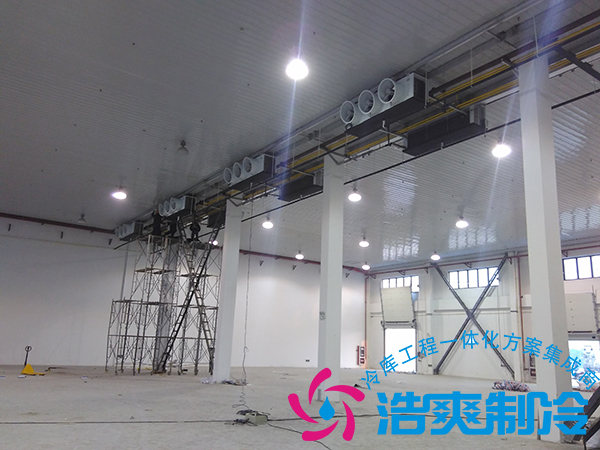 建造一個(gè)小型青果檳榔保鮮冷庫(kù)造價(jià)多少錢？可以存儲(chǔ)多長(zhǎng)時(shí)間？