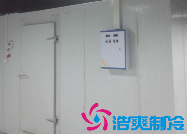 安裝一個(gè)冷藏庫(kù)造價(jià)大約多少錢一平方？_浩爽制冷