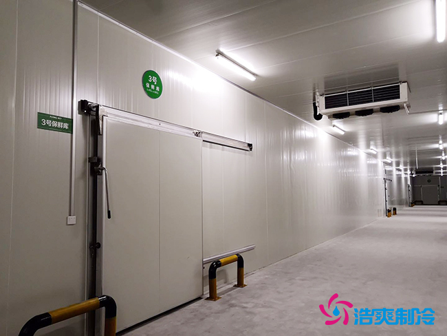 芭蕉氣調(diào)保鮮庫安裝如何確保果實的長期儲存？_浩爽制冷