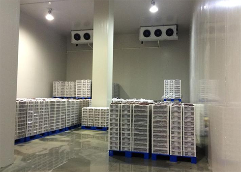 建造安裝1000㎡冷庫(kù)造價(jià)大概需要多少費(fèi)用？_浩爽制冷