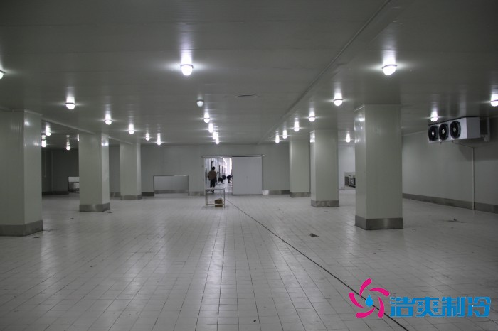 江蘇1500㎡農(nóng)產(chǎn)品低溫冷藏冷凍庫(kù)工程