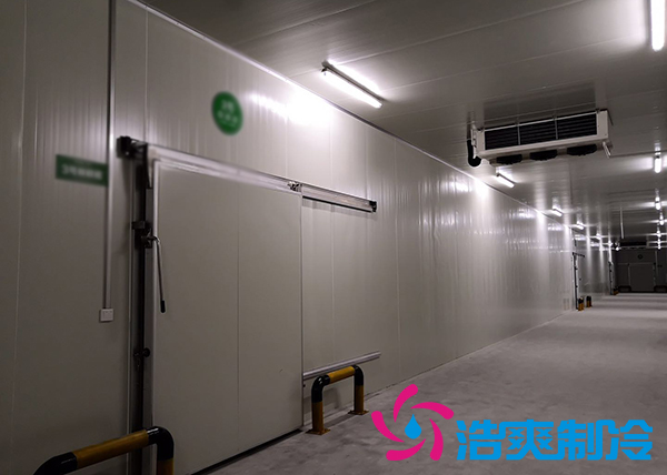 新鮮檳榔如何通過建造檳榔凍庫有效儲存？_浩爽制冷