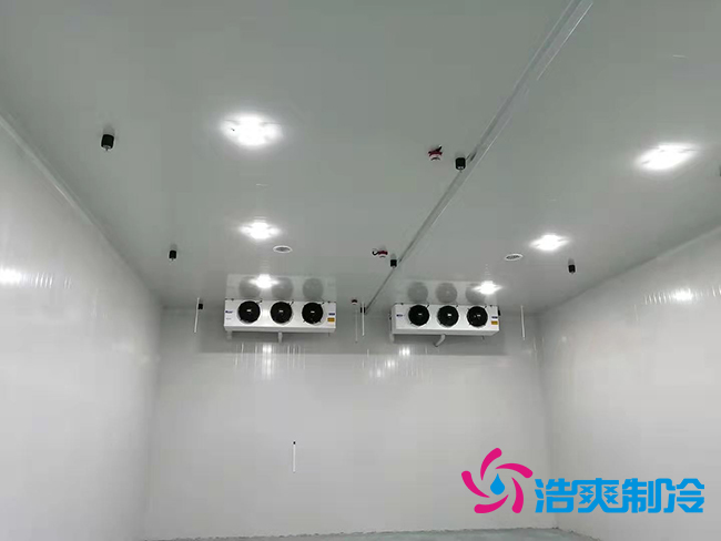 超低溫凍庫(kù)建設(shè)價(jià)格與哪些因素有關(guān)？_浩爽制冷