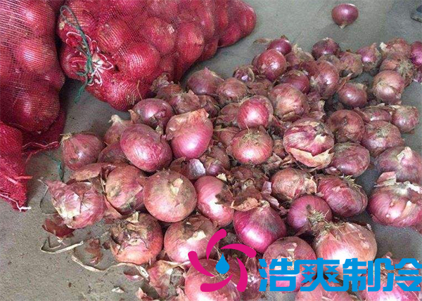 建一個(gè)洋蔥保鮮庫要多少錢呢？_浩爽制冷