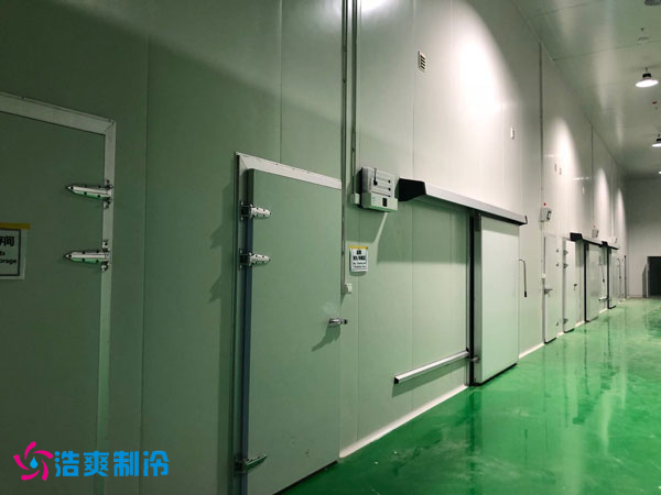 100噸香菜保鮮冷庫(kù)安裝成本是多少？_浩爽制冷