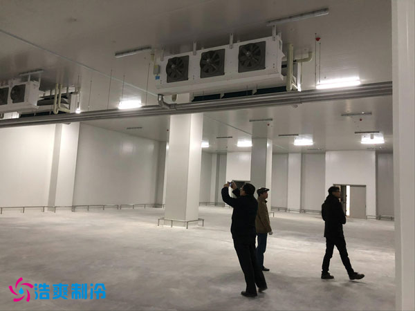 建造一間鳳梨保鮮冷庫費(fèi)用需要多少錢？_浩爽制冷