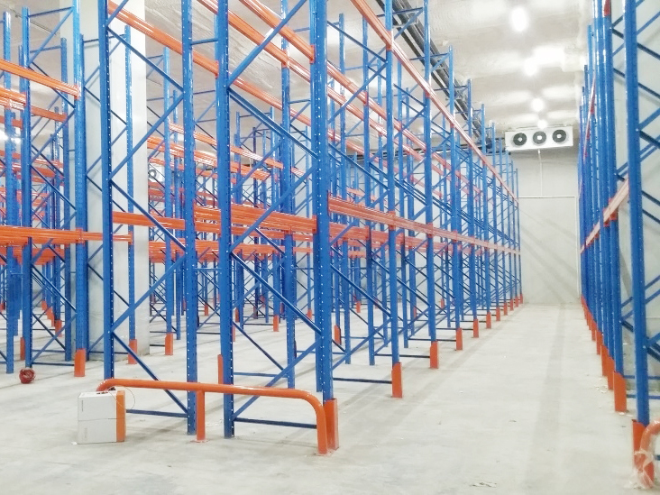 建造一個水果和蔬菜的新鮮冷藏室要花多少錢呢？_浩爽制冷