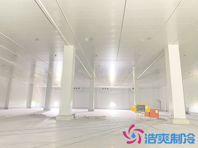 新建100噸桃子冷庫要多少錢？_浩爽制冷