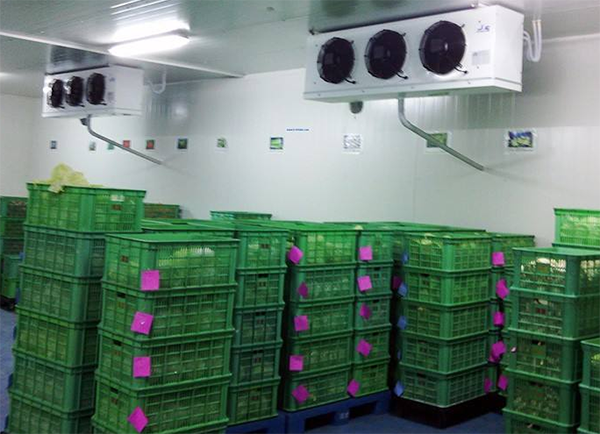 建一個(gè)垃圾冷庫要多少錢？_浩爽制冷