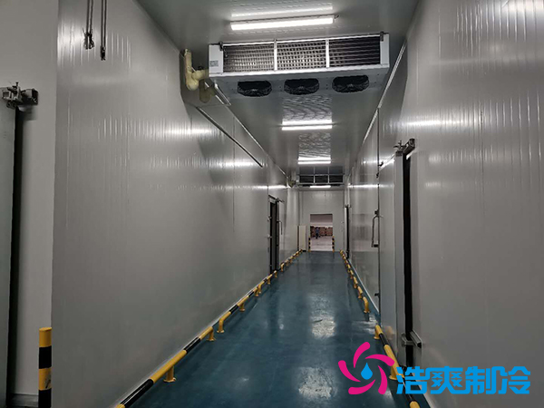 建一個(gè)1000平米蔬菜恒溫庫(kù)成本多少錢(qián)？_浩爽制冷