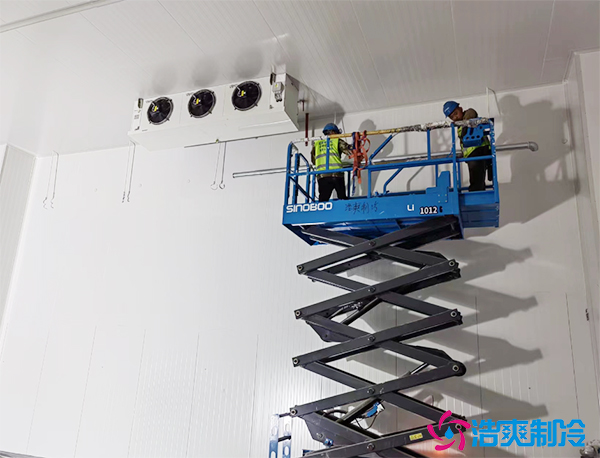 牛肉冷庫造價(jià)預(yù)算清單多少錢,牛肉冷藏冷凍庫溫度要求及儲存時(shí)間_浩爽制冷