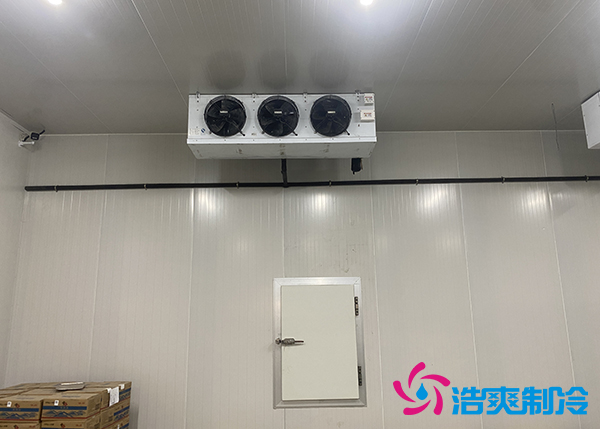 生鮮蔬菜市場(chǎng)冷庫應(yīng)該建多大？-浩爽制冷