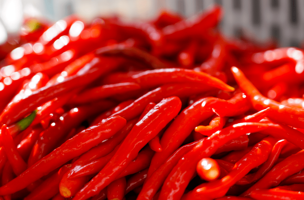 小米辣冷庫(kù)溫度標(biāo)準(zhǔn)是多少？-浩爽制冷