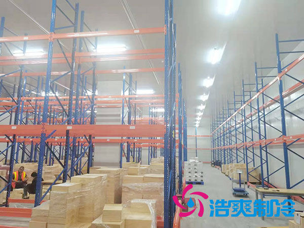 如何選擇專業(yè)的生鮮冷凍物流冷庫公司？-浩爽制冷