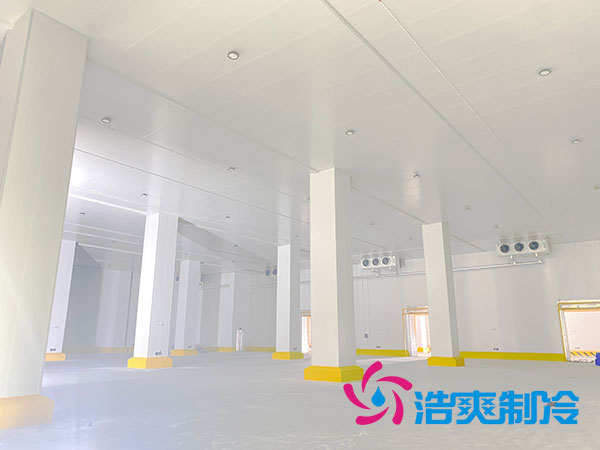 浙江肉類速凍庫(kù)建造大概多少錢？-浩爽制冷