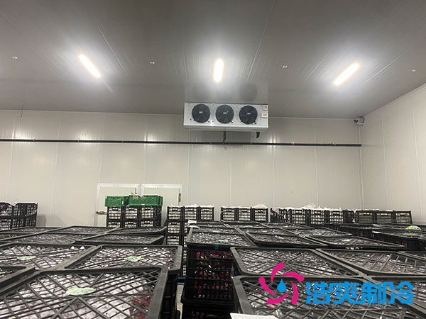 嘉定雞蛋冷庫(kù)安裝建造多少錢(qián)？-浩爽制冷