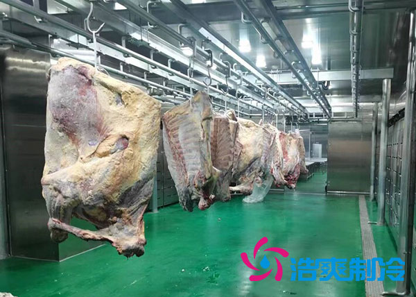 咸陽屠宰場陜西冷庫建造價格多少錢？-浩爽制冷