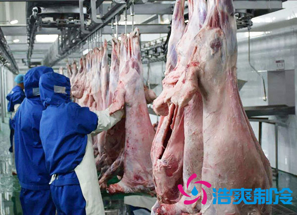 排酸冷庫安裝價錢多少錢？-浩爽制冷