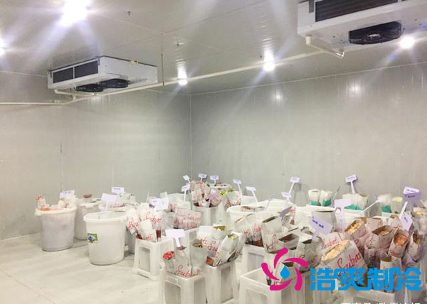 做個鮮花冷庫要多少錢？-浩爽制冷