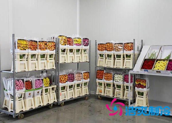 鮮花冷庫多少錢一平方？-浩爽制冷