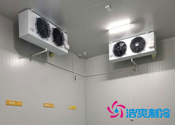 衡陽大型水果冷庫造價多少錢一平方？-浩爽制冷