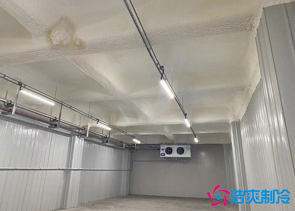 低溫冷庫建造用風冷好還是排管好？.jpg