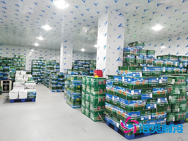 5000平米生鮮冷鏈果蔬保鮮冷庫建造安裝造價多少錢？-浩爽制冷