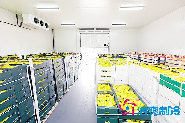 水果保鮮冷庫每平方米的建造費(fèi)用是多少錢？-浩爽制冷