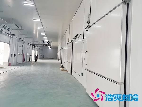 500噸容量冷庫造價(jià)