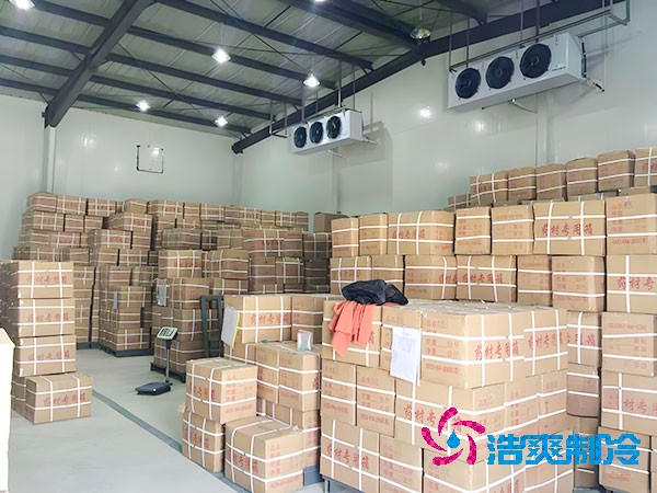 千噸級食品冷庫造價預算