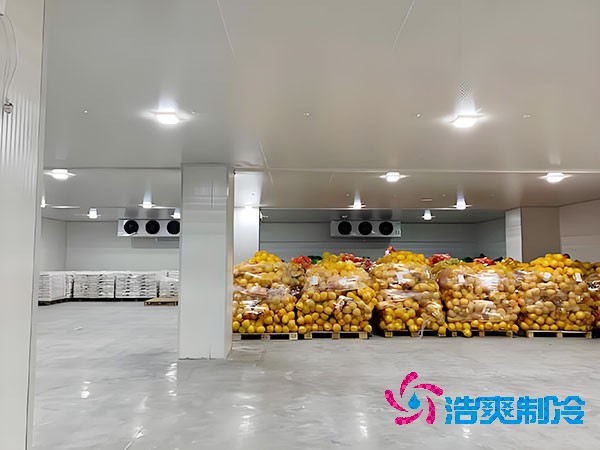 建設(shè)大型蔬菜保鮮庫(kù)的造價(jià)及安裝費(fèi)用解析-浩爽制冷