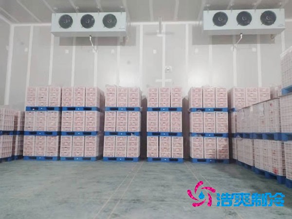 上海建設(shè)50噸果蔬氣調(diào)保鮮冷庫(kù)造價(jià)解析