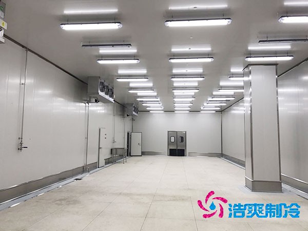 建造1000平方米大型海鮮冷庫的造價(jià)問題及全面解析