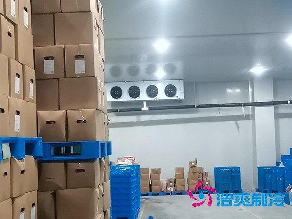 建造魚糜制品低溫冷庫的費用及其重要性