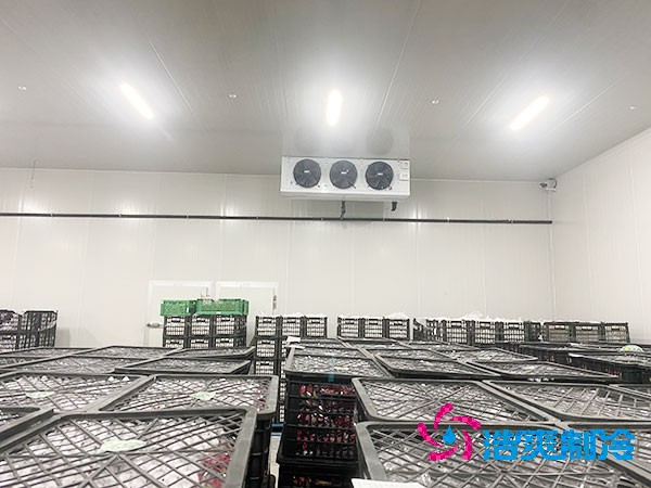 想知道保鮮冷庫設(shè)計(jì)安裝要花多少錢？-浩爽制冷