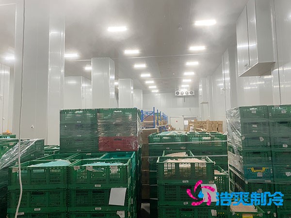 夏季蔬菜保鮮難？500噸冷庫建造價(jià)格揭秘！