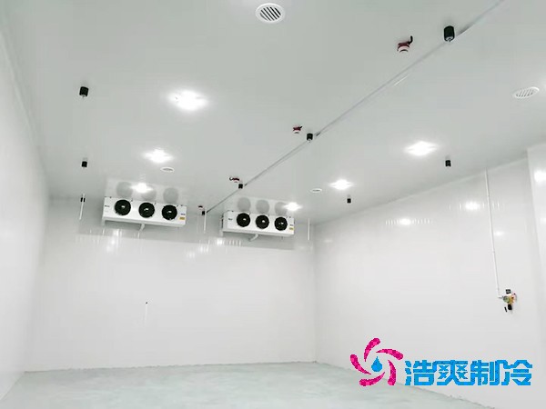 冷凍魚肉冷庫造價