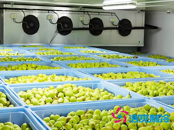 果蔬冷庫(kù)造價(jià)